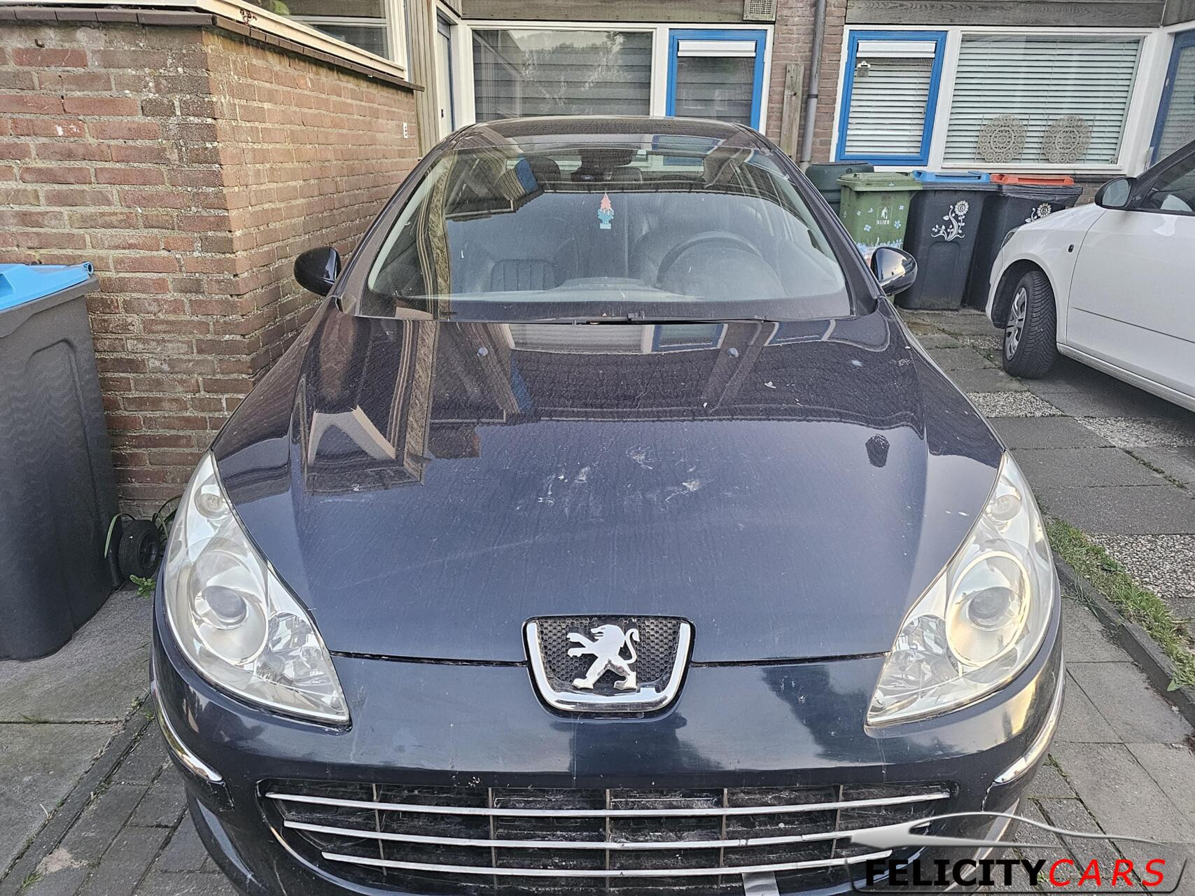 Hoofdafbeelding Peugeot 407