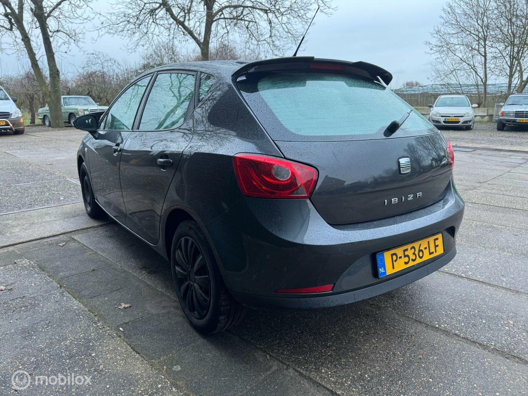 Hoofdafbeelding SEAT Ibiza