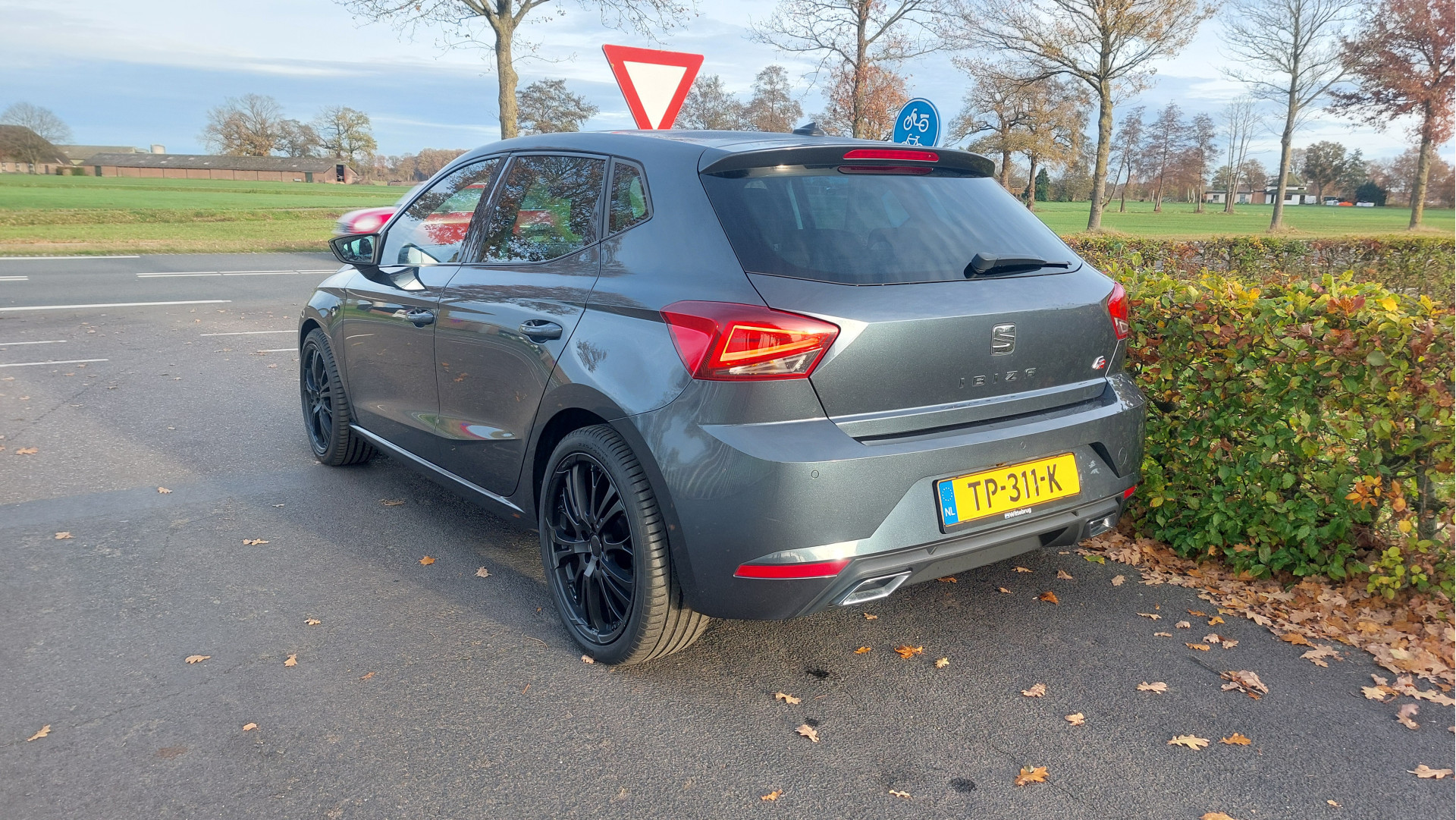 Hoofdafbeelding SEAT Ibiza