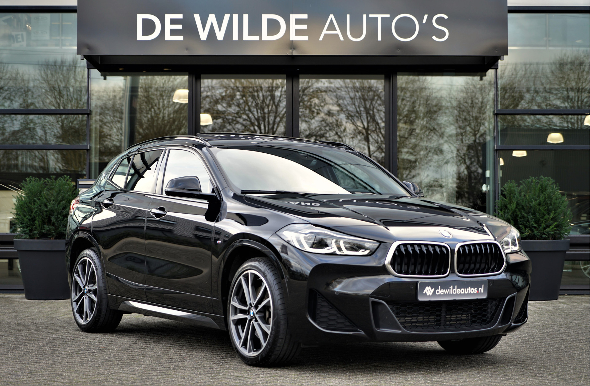 Hoofdafbeelding BMW X2