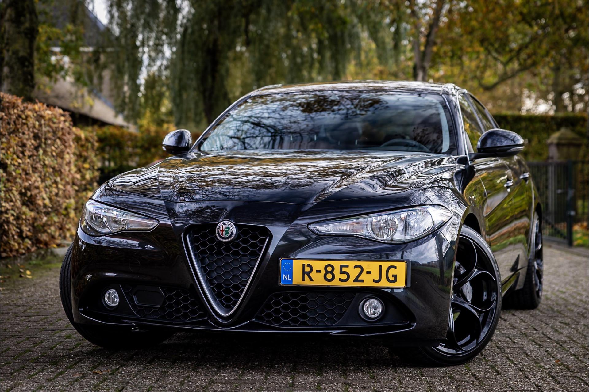 Hoofdafbeelding Alfa Romeo Giulia