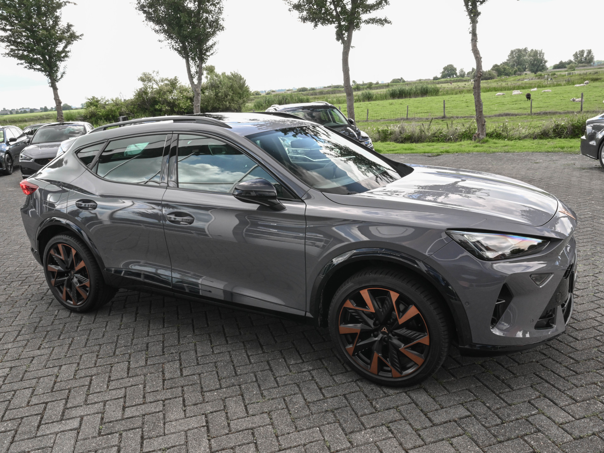 Hoofdafbeelding CUPRA Formentor