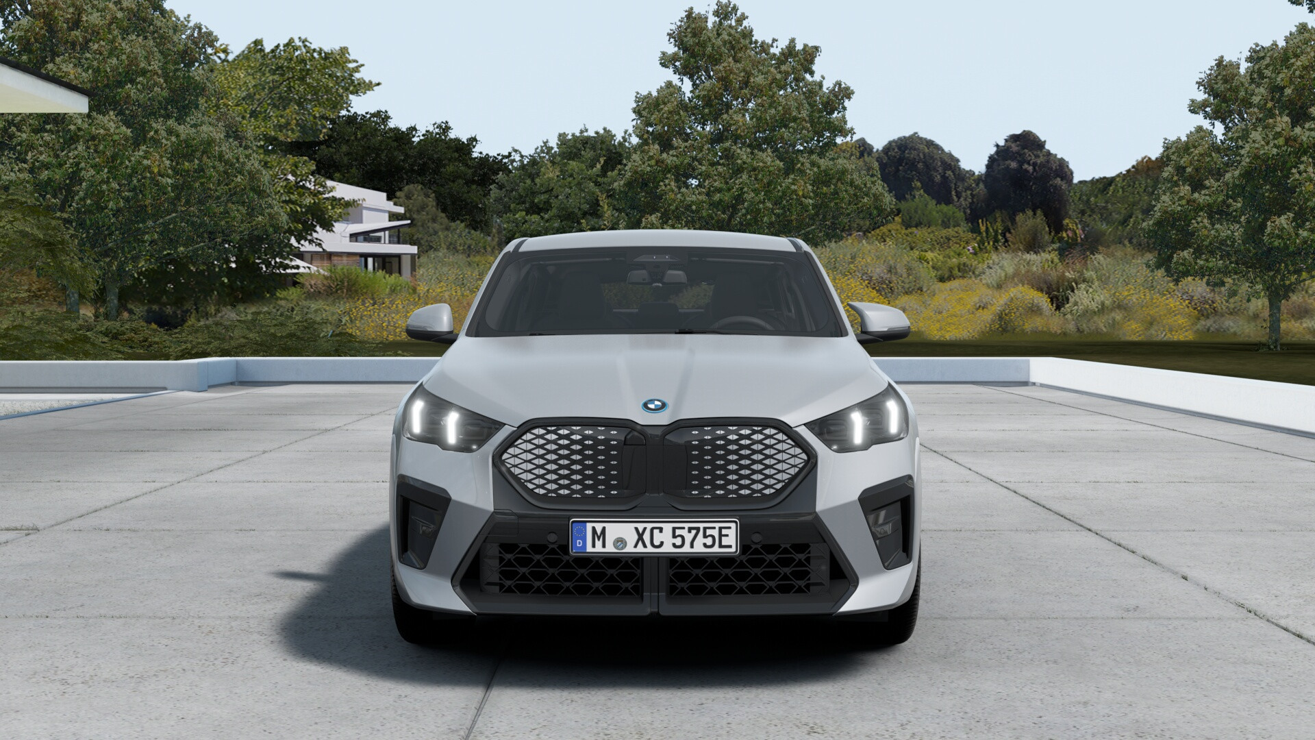 Hoofdafbeelding BMW iX2