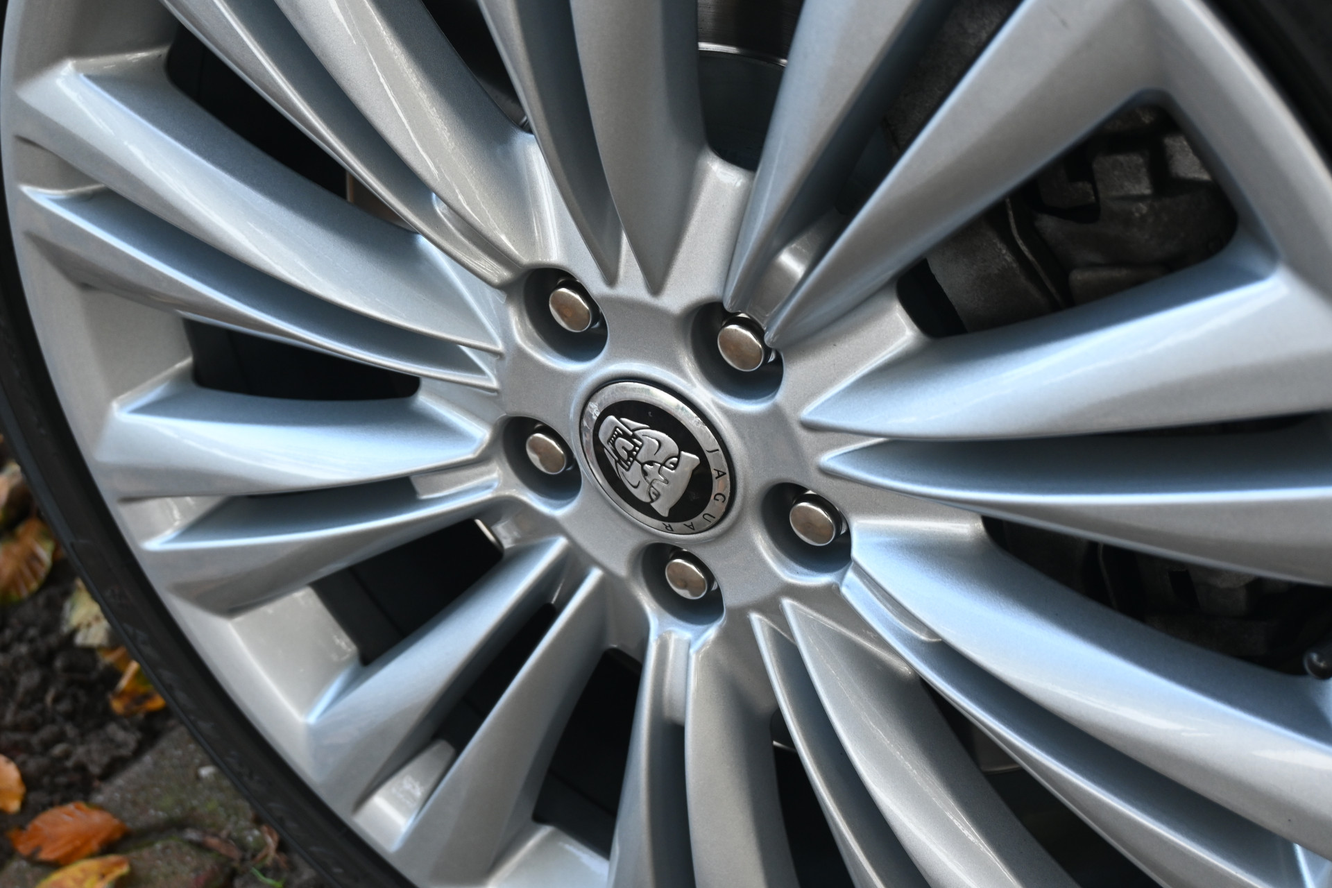 Hoofdafbeelding Jaguar XK