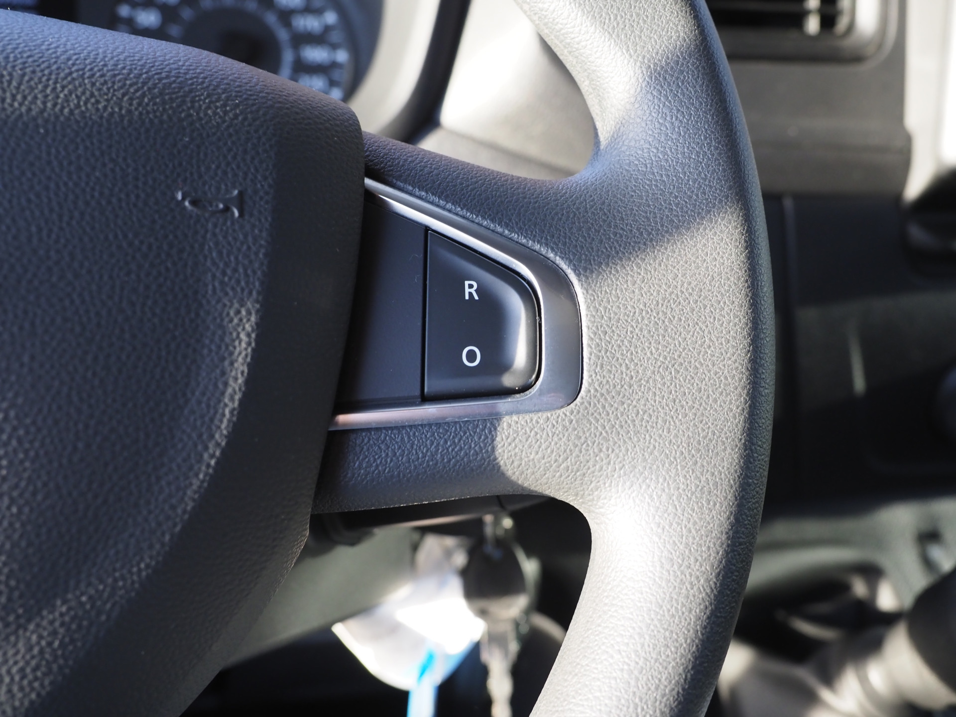 Hoofdafbeelding Renault Ahorn