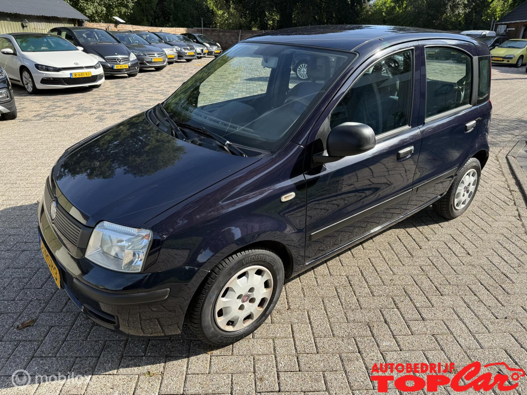 Hoofdafbeelding Fiat Panda