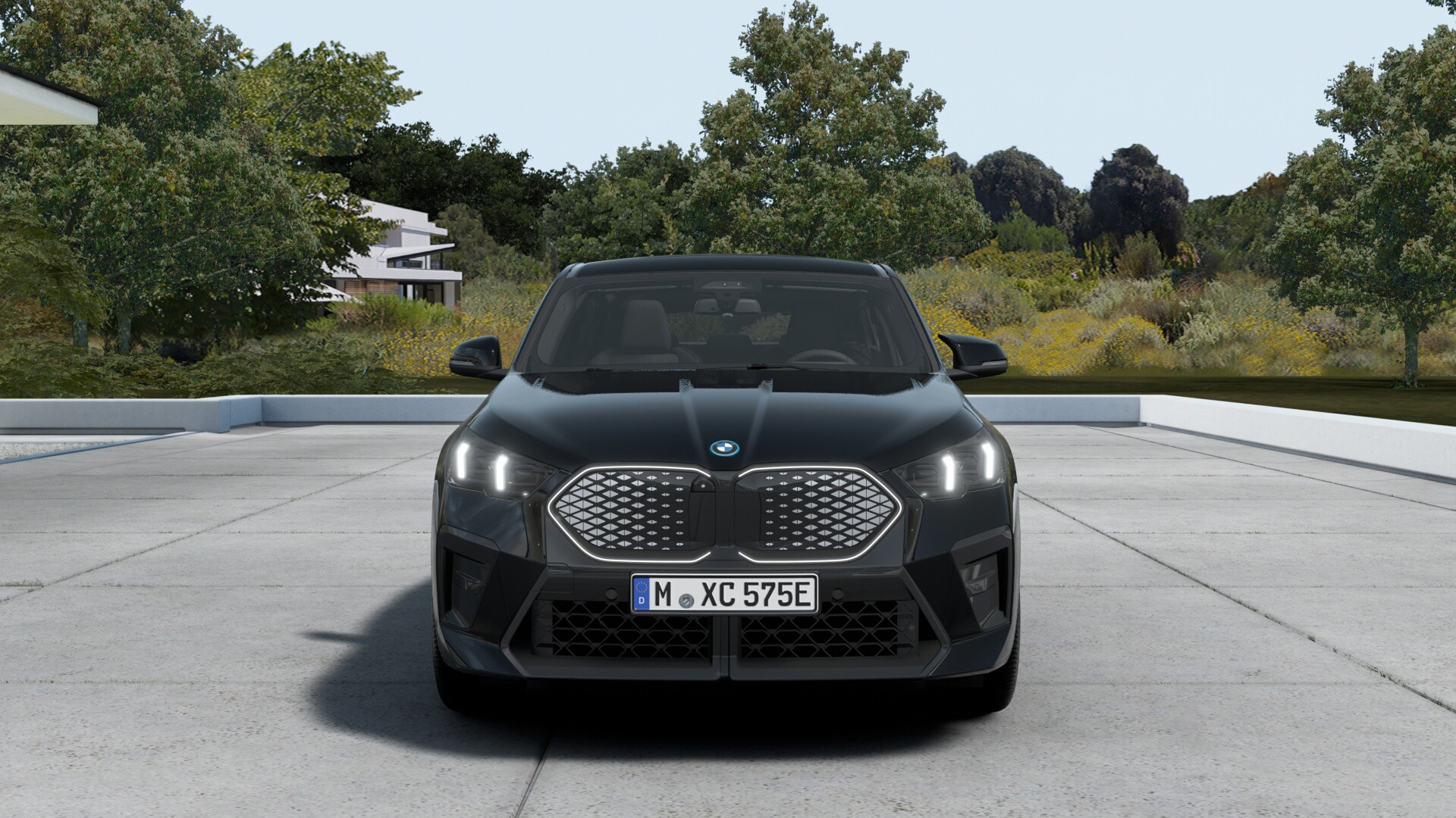 Hoofdafbeelding BMW iX2