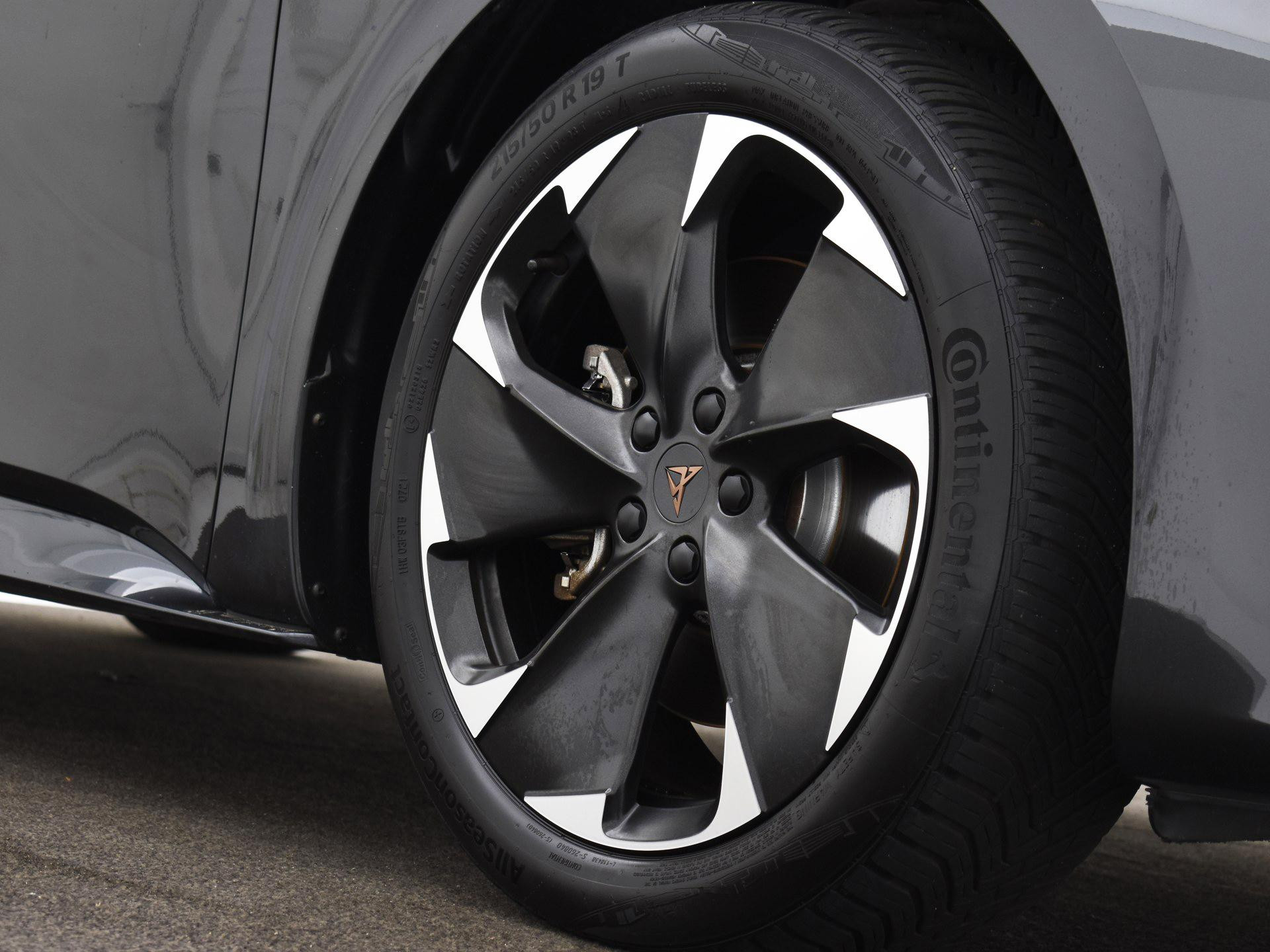 Hoofdafbeelding CUPRA Born