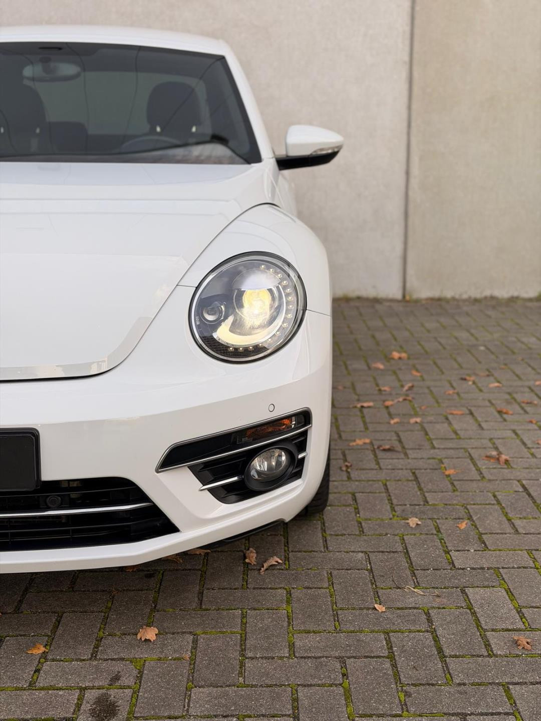 Hoofdafbeelding Volkswagen Beetle