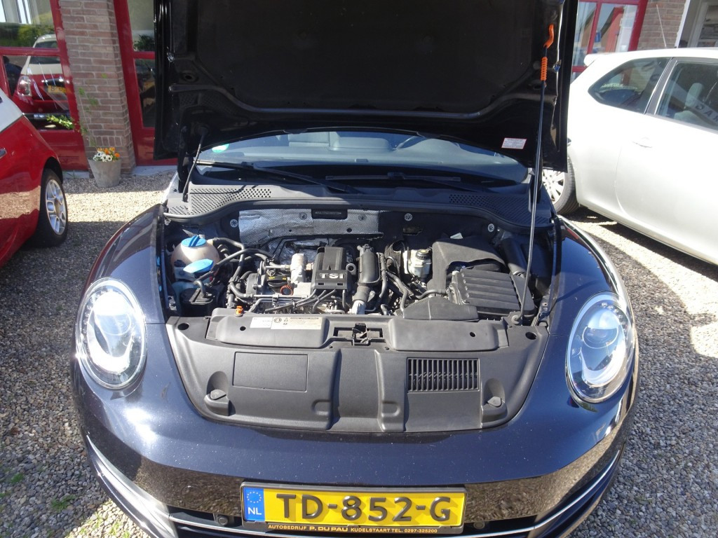 Hoofdafbeelding Volkswagen Beetle