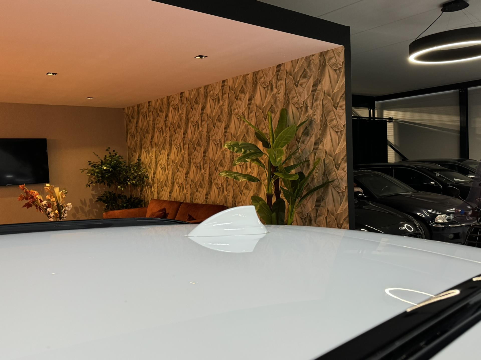 Hoofdafbeelding BMW X2