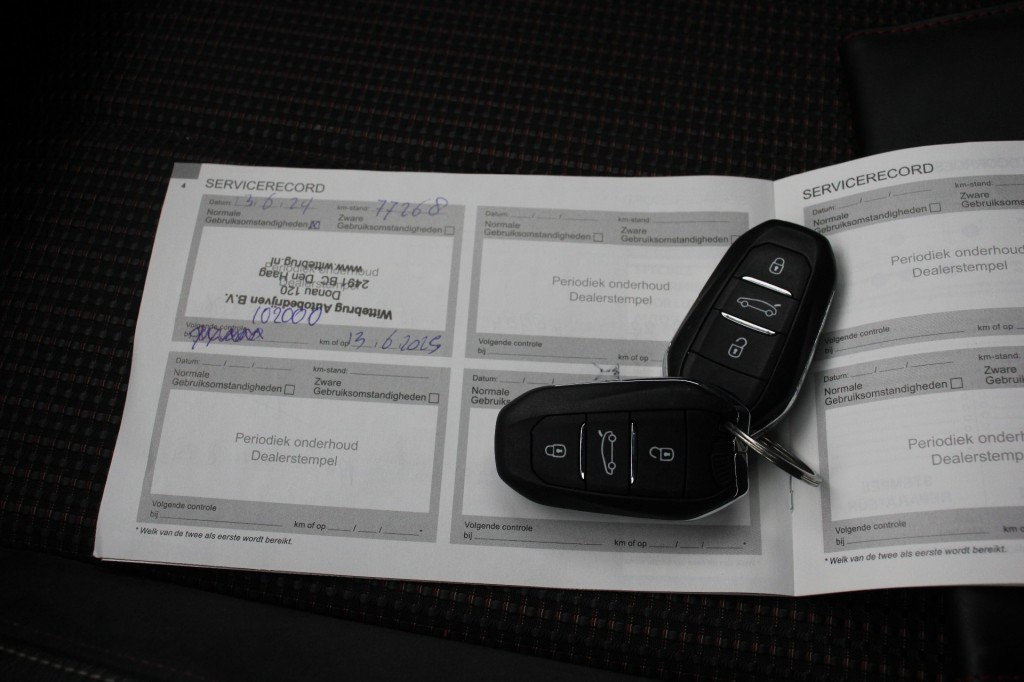 Hoofdafbeelding DS DS 3