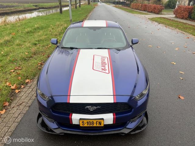 Hoofdafbeelding Ford Mustang