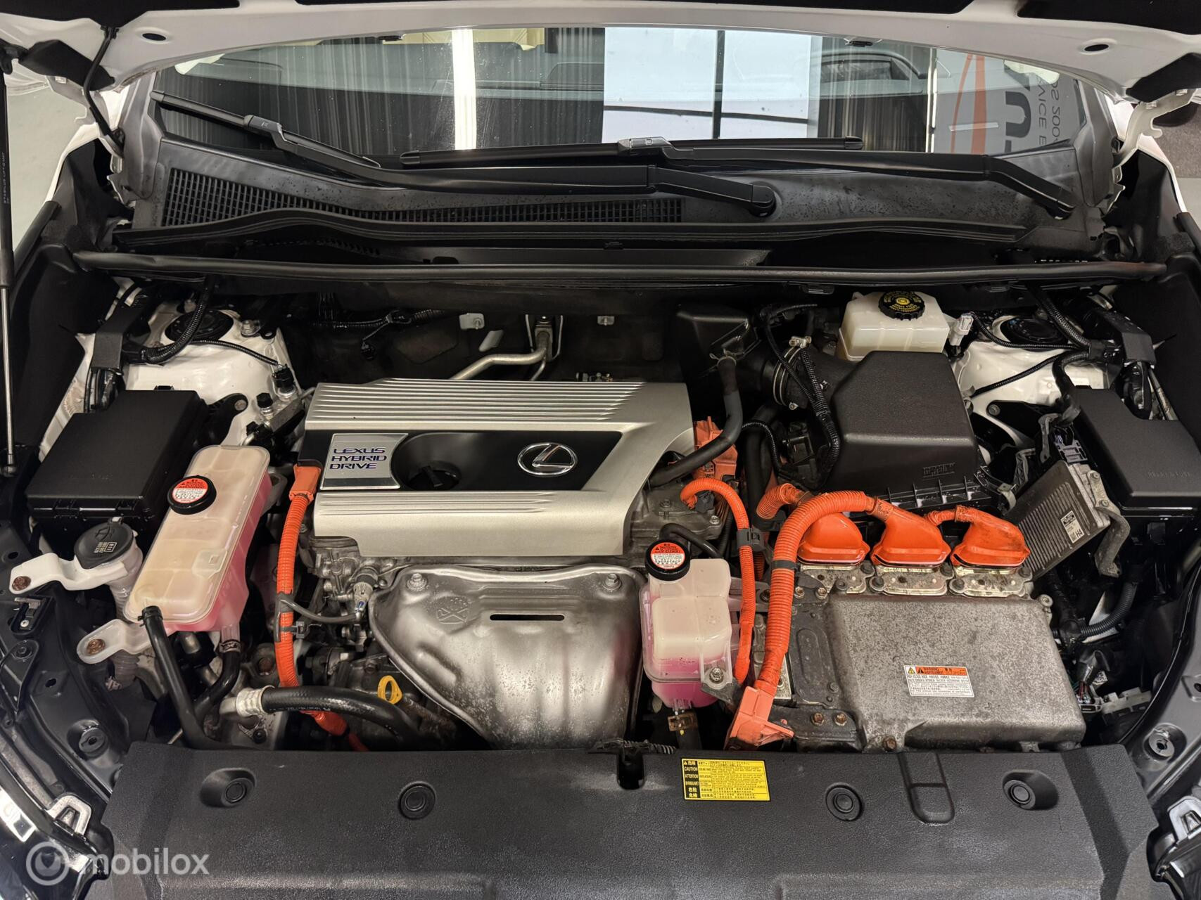 Hoofdafbeelding Lexus NX