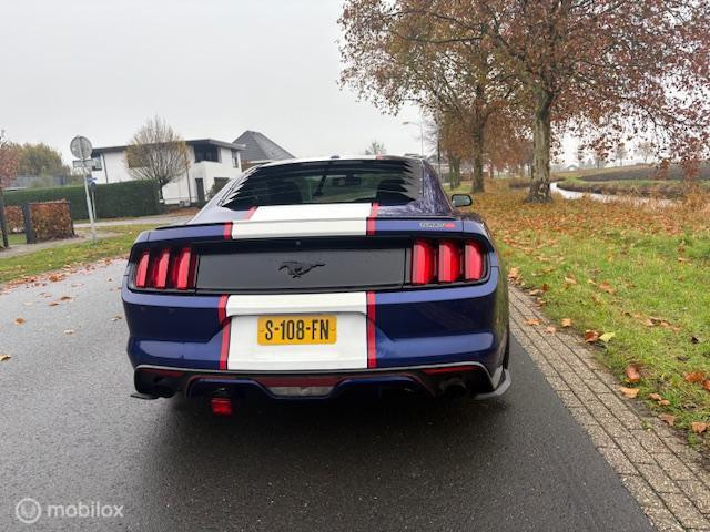 Hoofdafbeelding Ford Mustang