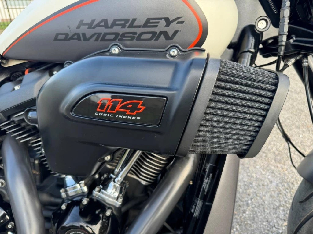 Hoofdafbeelding Harley-Davidson Softail