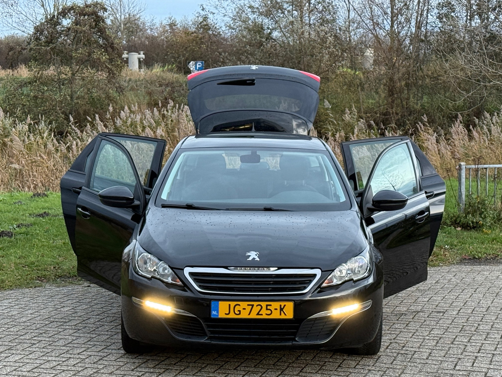 Hoofdafbeelding Peugeot 308