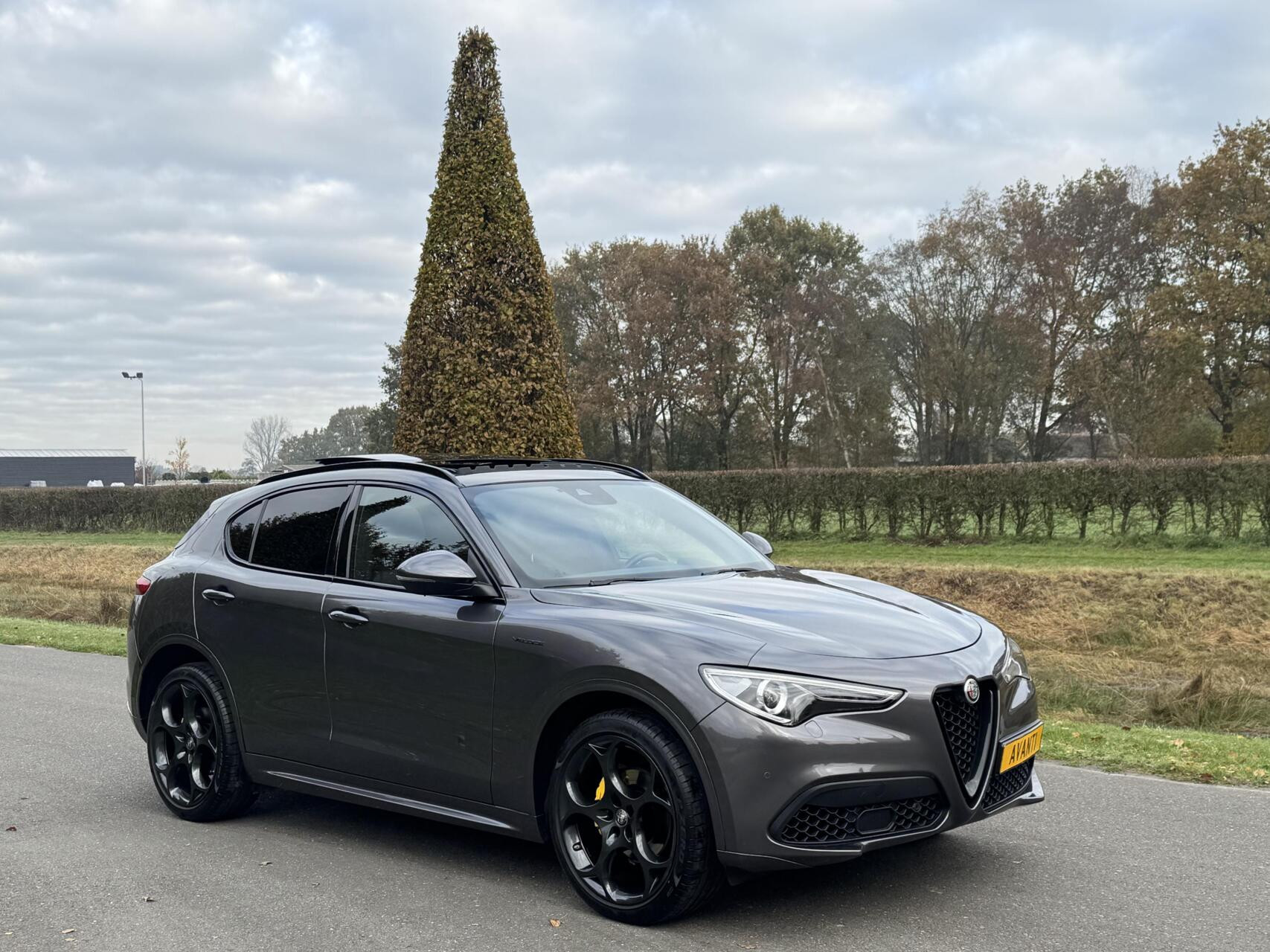 Hoofdafbeelding Alfa Romeo Stelvio