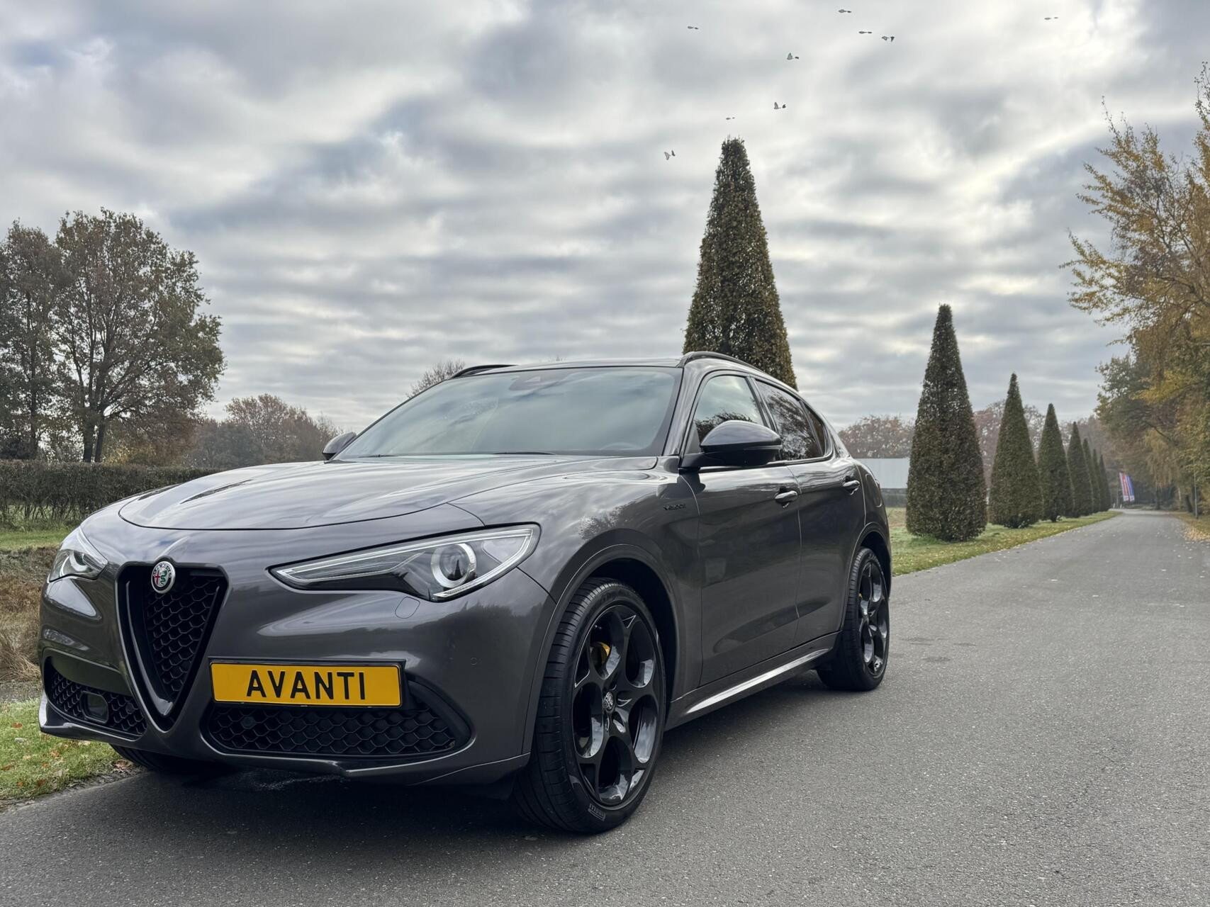 Hoofdafbeelding Alfa Romeo Stelvio