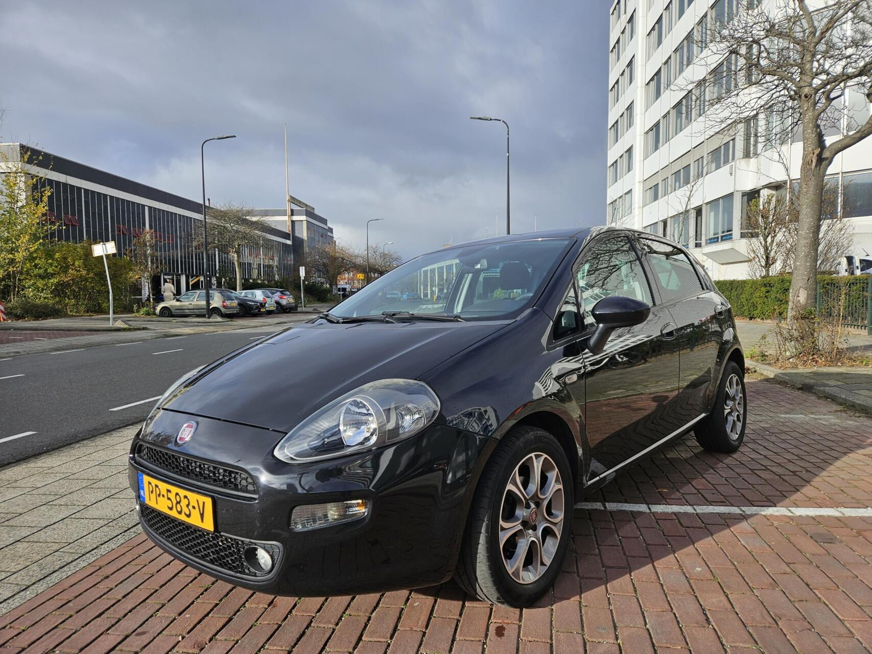 Hoofdafbeelding Fiat Punto