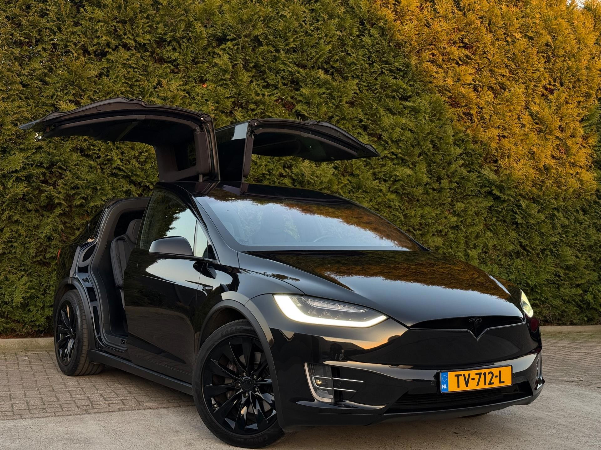 Hoofdafbeelding Tesla Model X