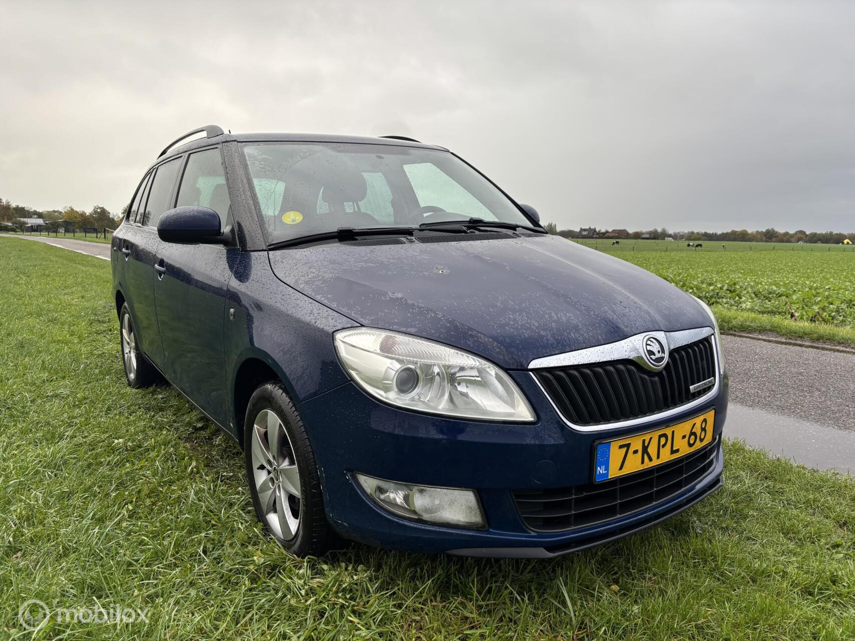 Hoofdafbeelding Škoda Fabia