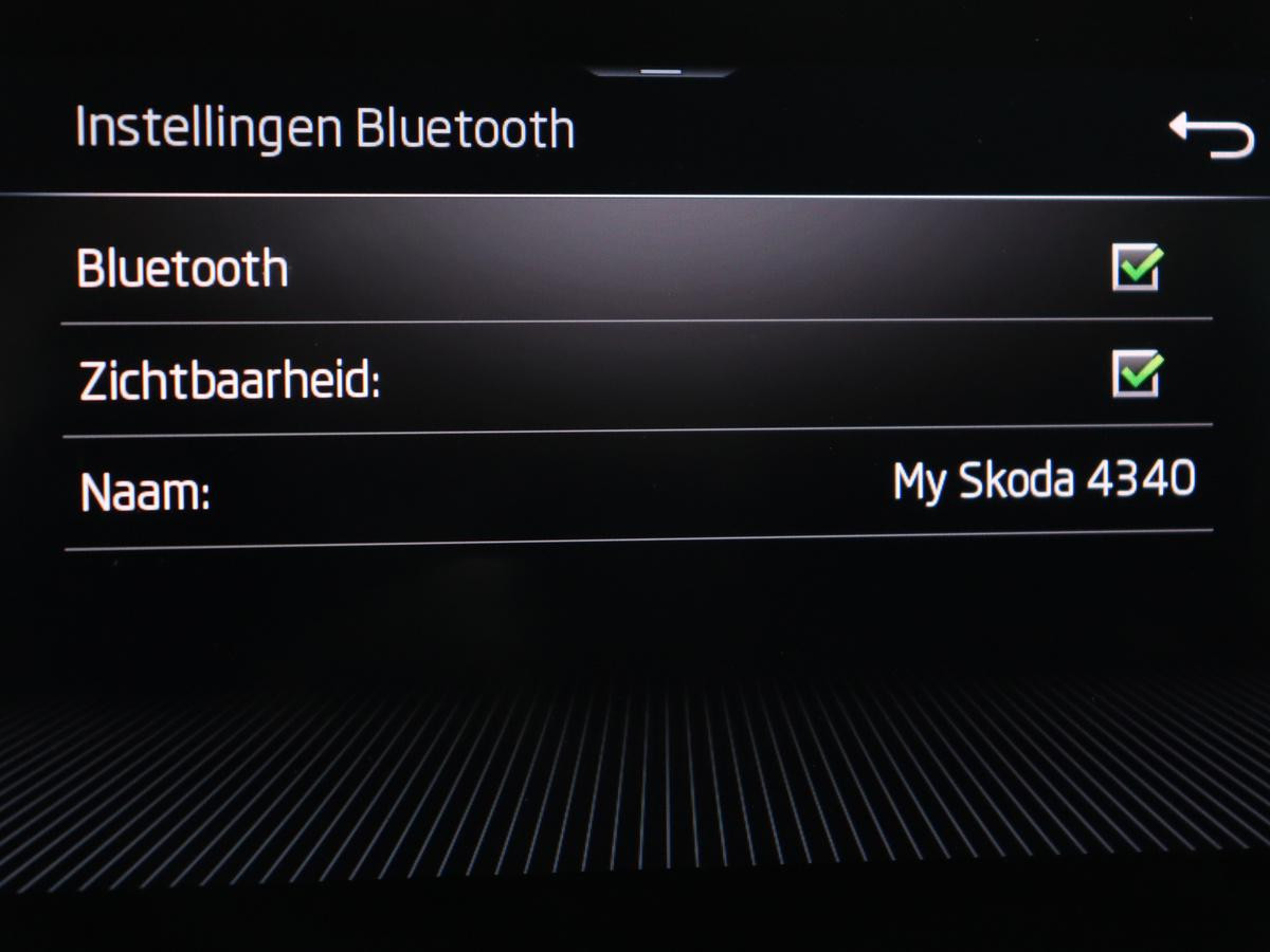 Hoofdafbeelding Škoda Kamiq