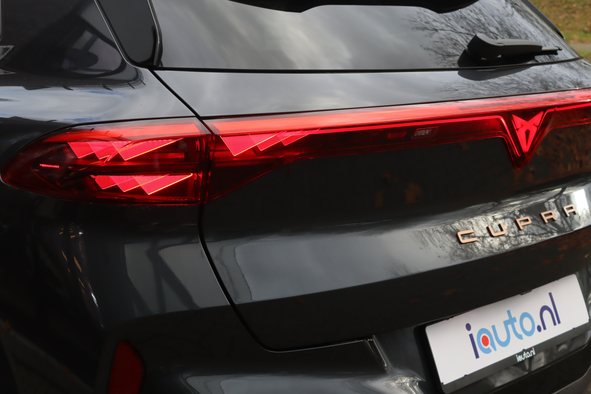 Hoofdafbeelding CUPRA Terramar