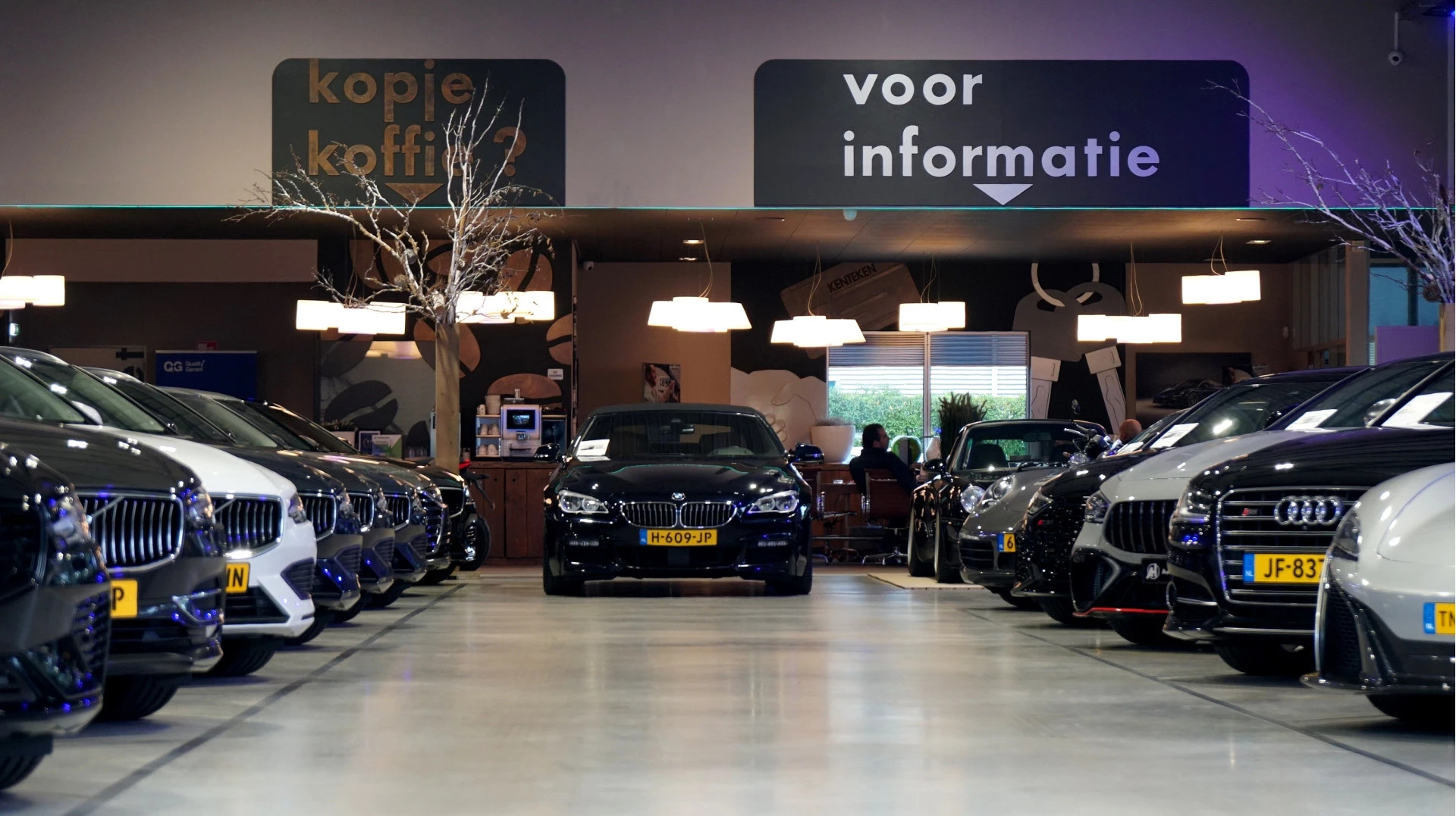 Hoofdafbeelding Moto Guzzi V9