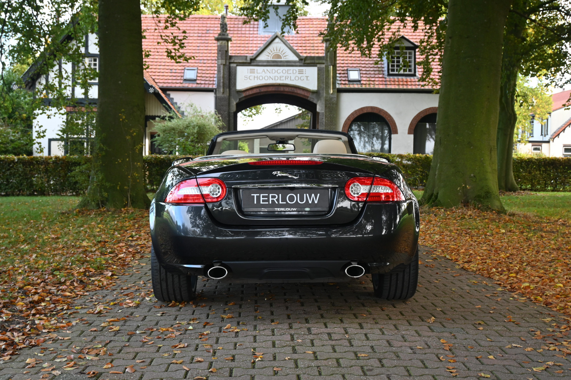 Hoofdafbeelding Jaguar XK