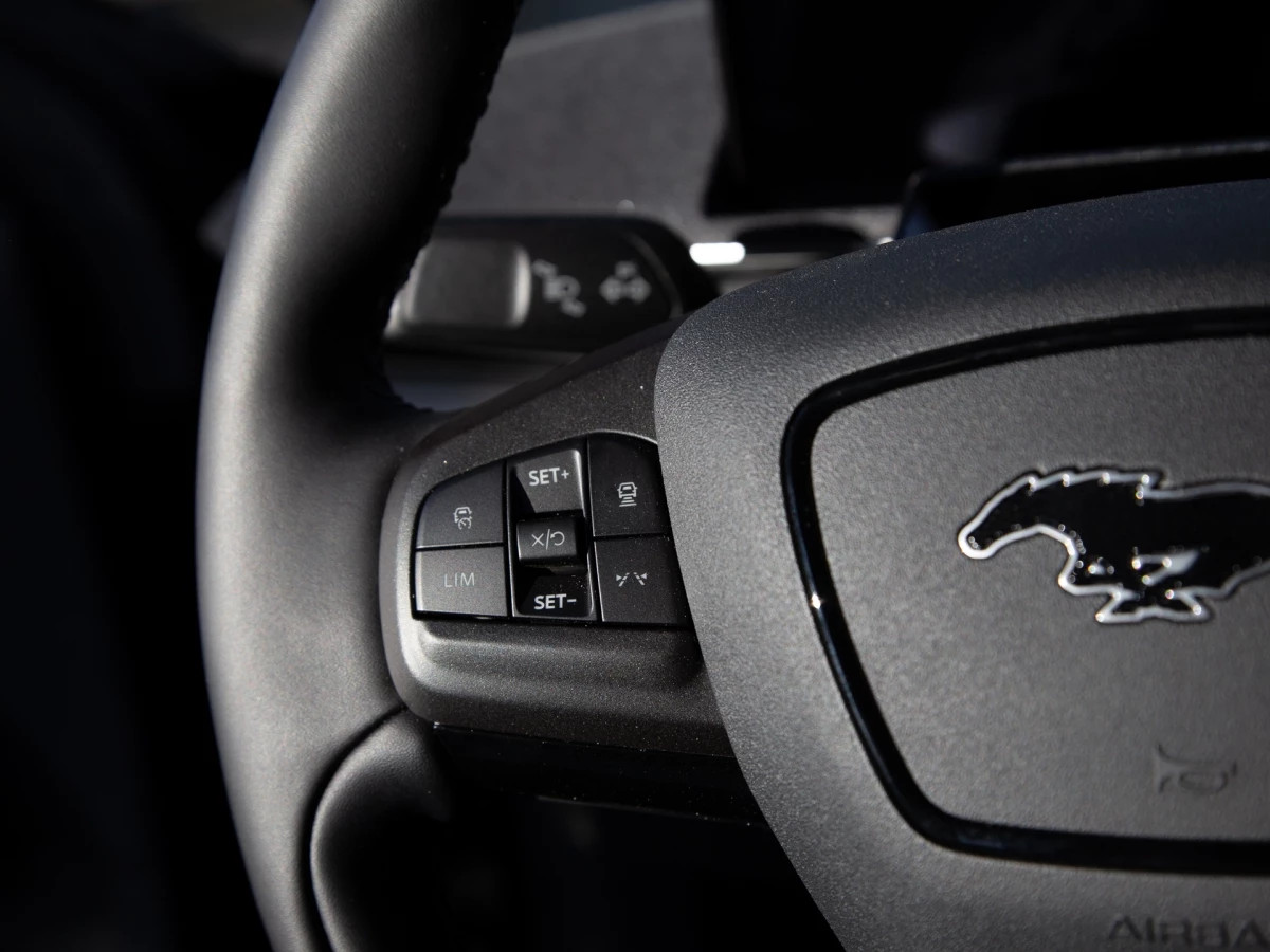 Ford-Mustang Mach-E-image-17