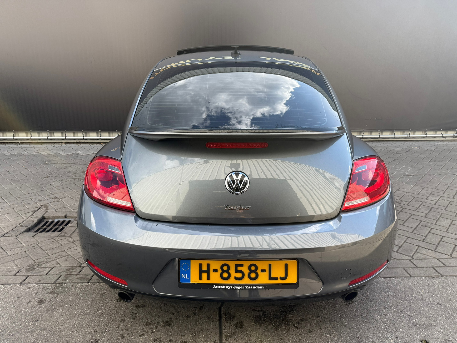 Hoofdafbeelding Volkswagen Beetle