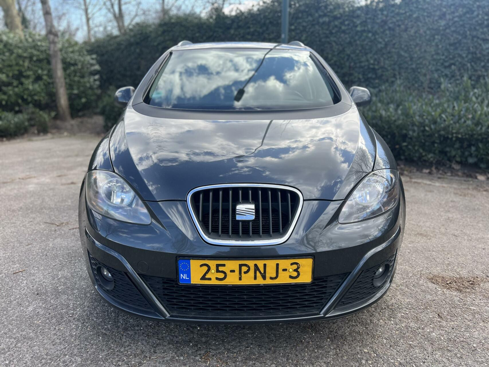 Hoofdafbeelding SEAT Altea XL