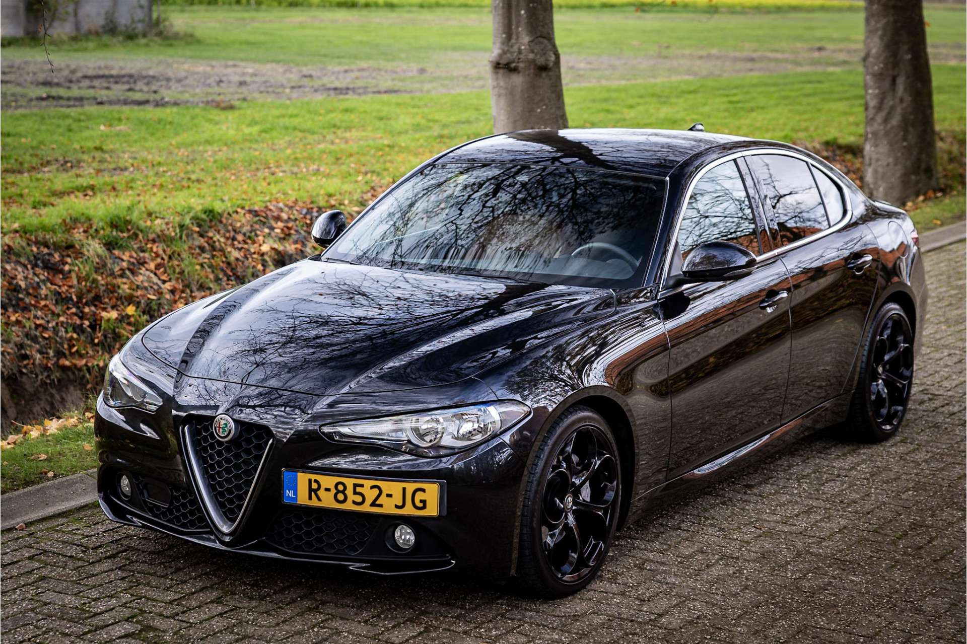 Hoofdafbeelding Alfa Romeo Giulia