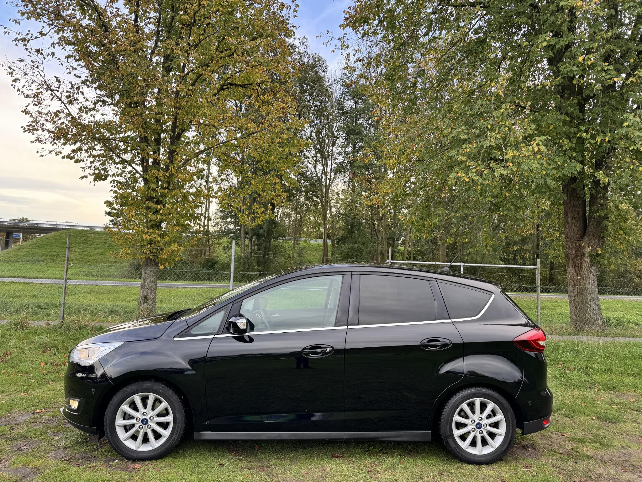 Hoofdafbeelding Ford C-MAX