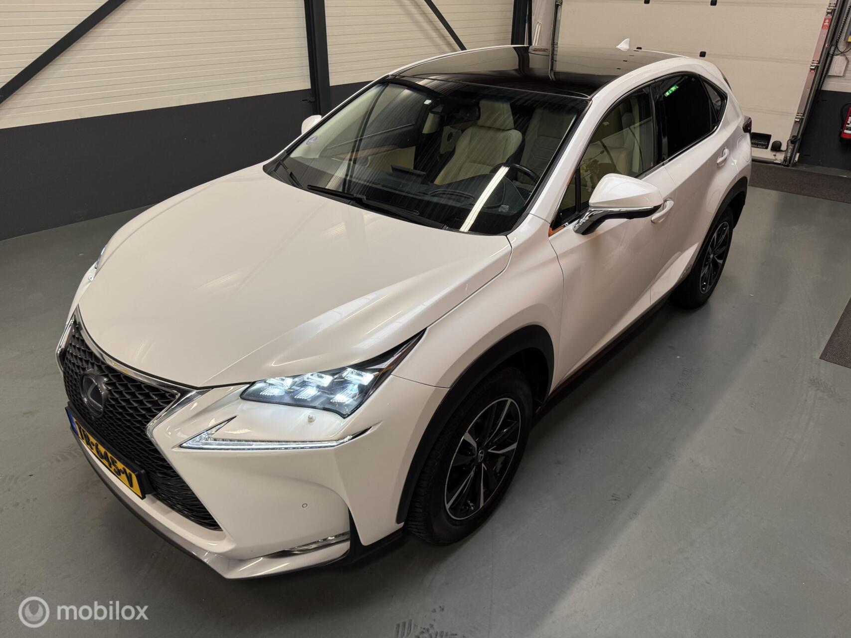 Hoofdafbeelding Lexus NX