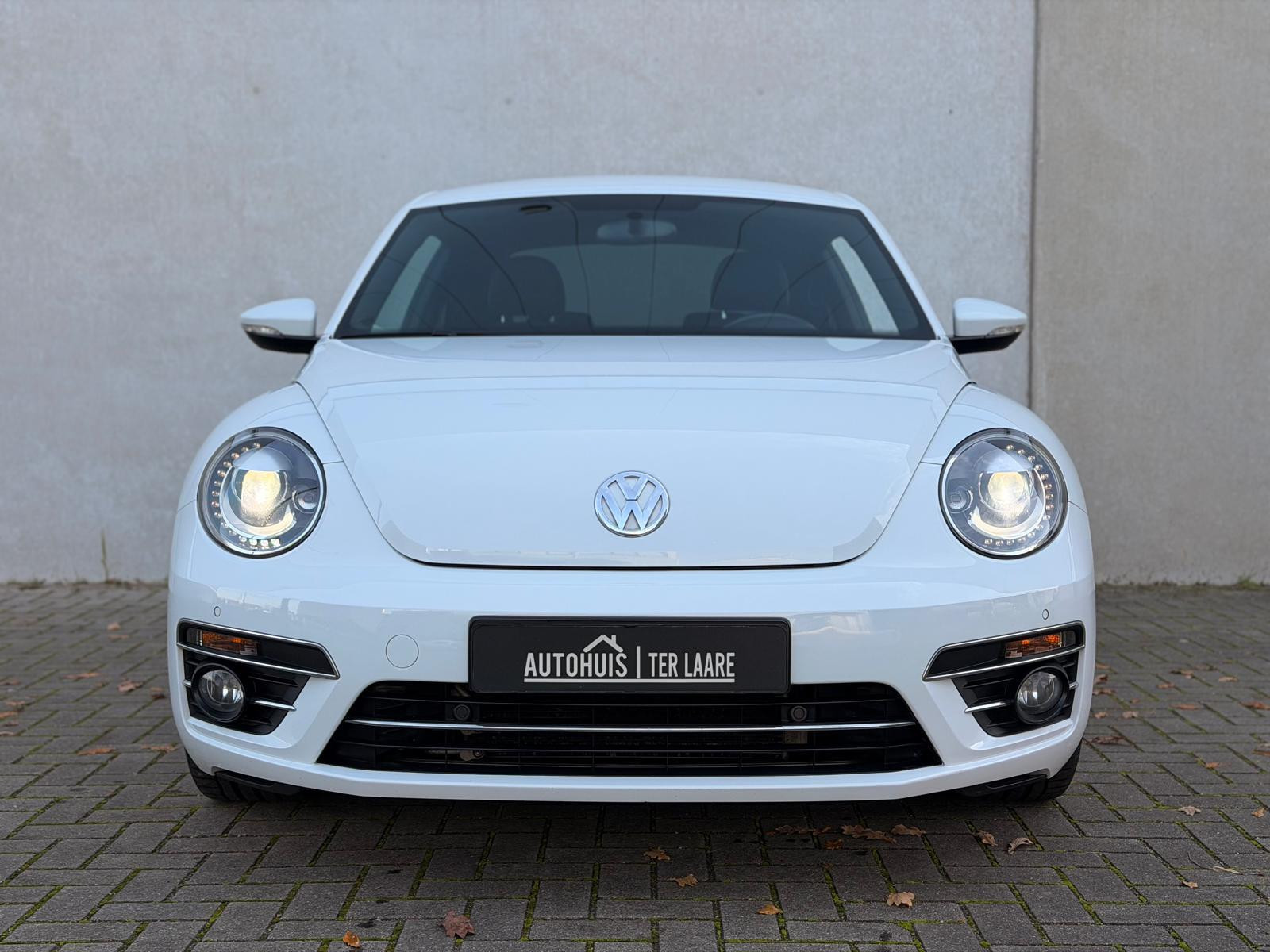 Hoofdafbeelding Volkswagen Beetle