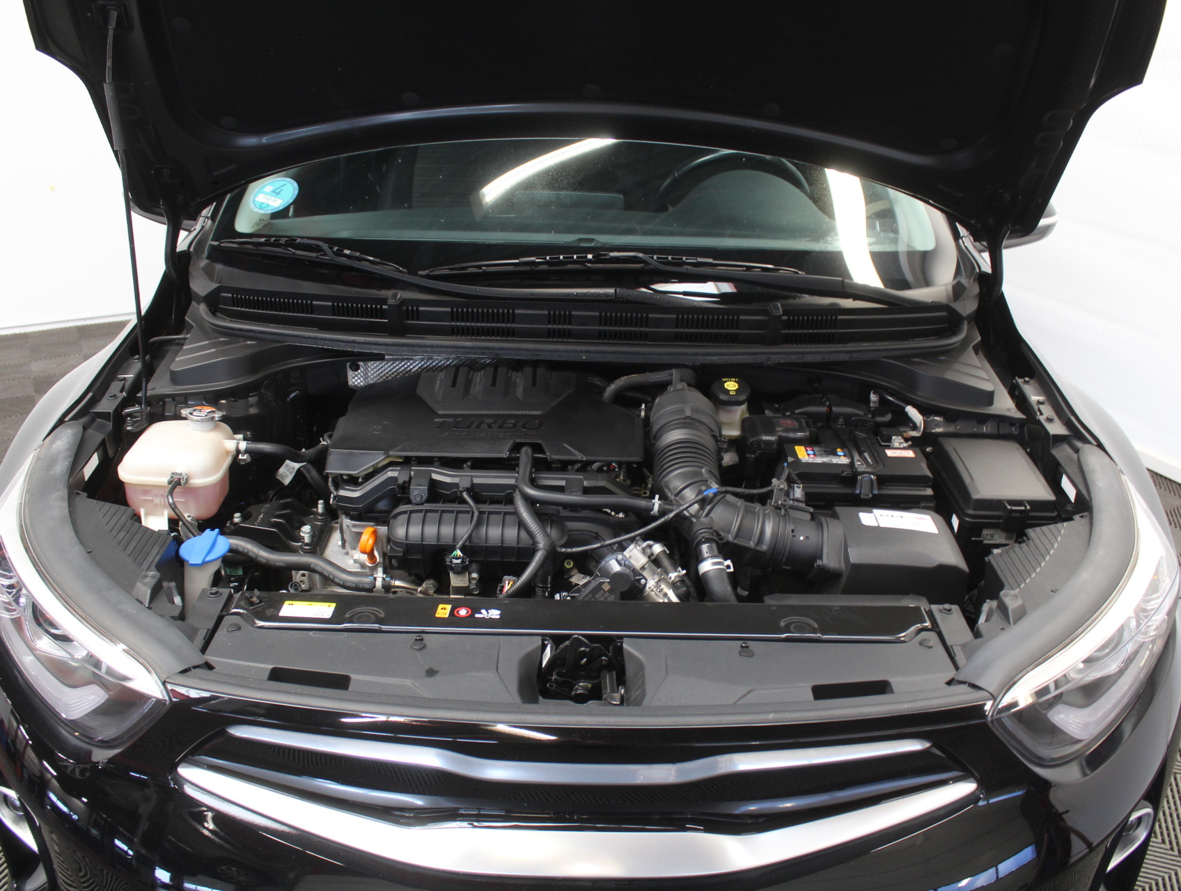 Hoofdafbeelding Kia Stonic