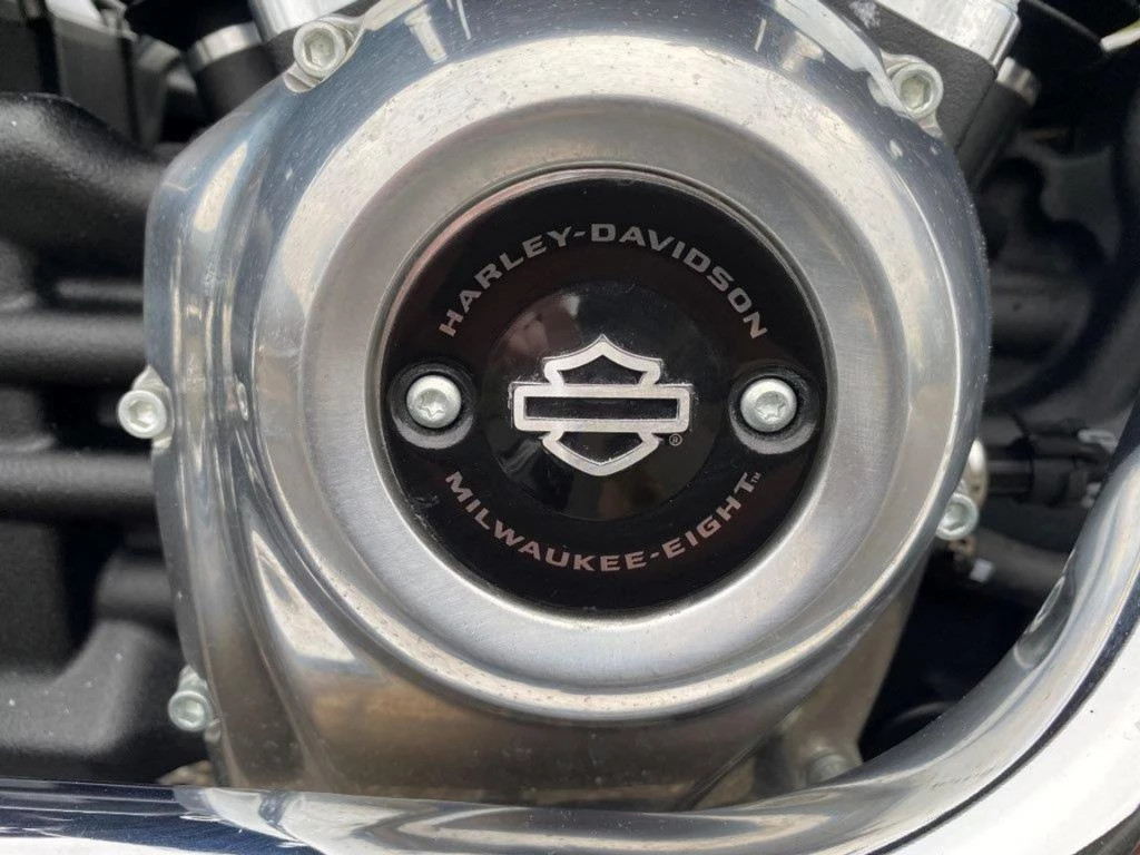 Hoofdafbeelding Harley-Davidson Softail