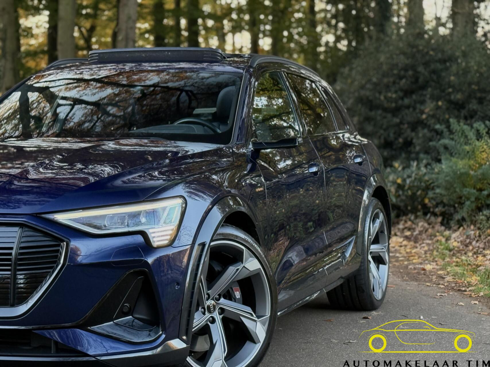 Hoofdafbeelding Audi e-tron