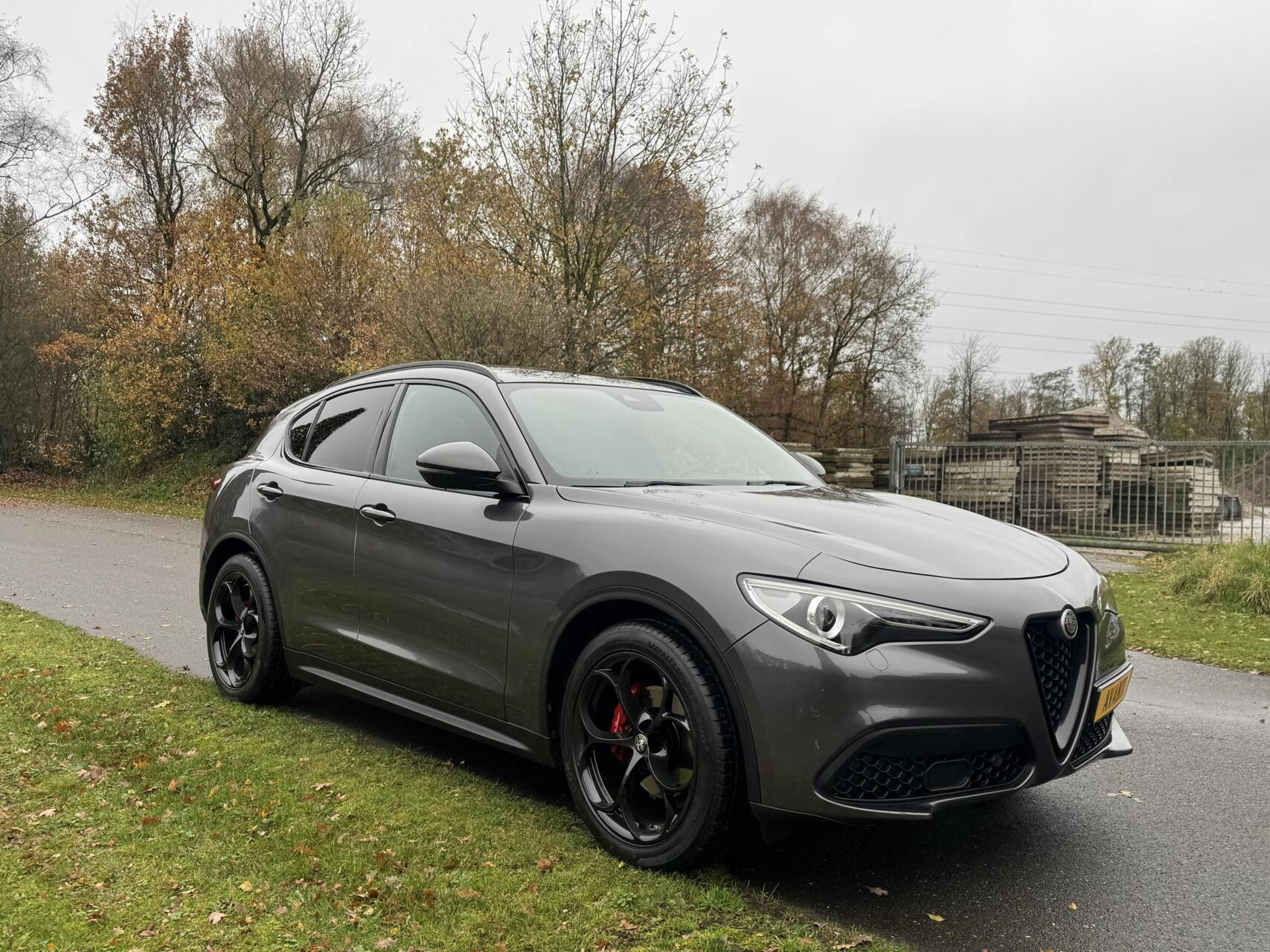 Hoofdafbeelding Alfa Romeo Stelvio