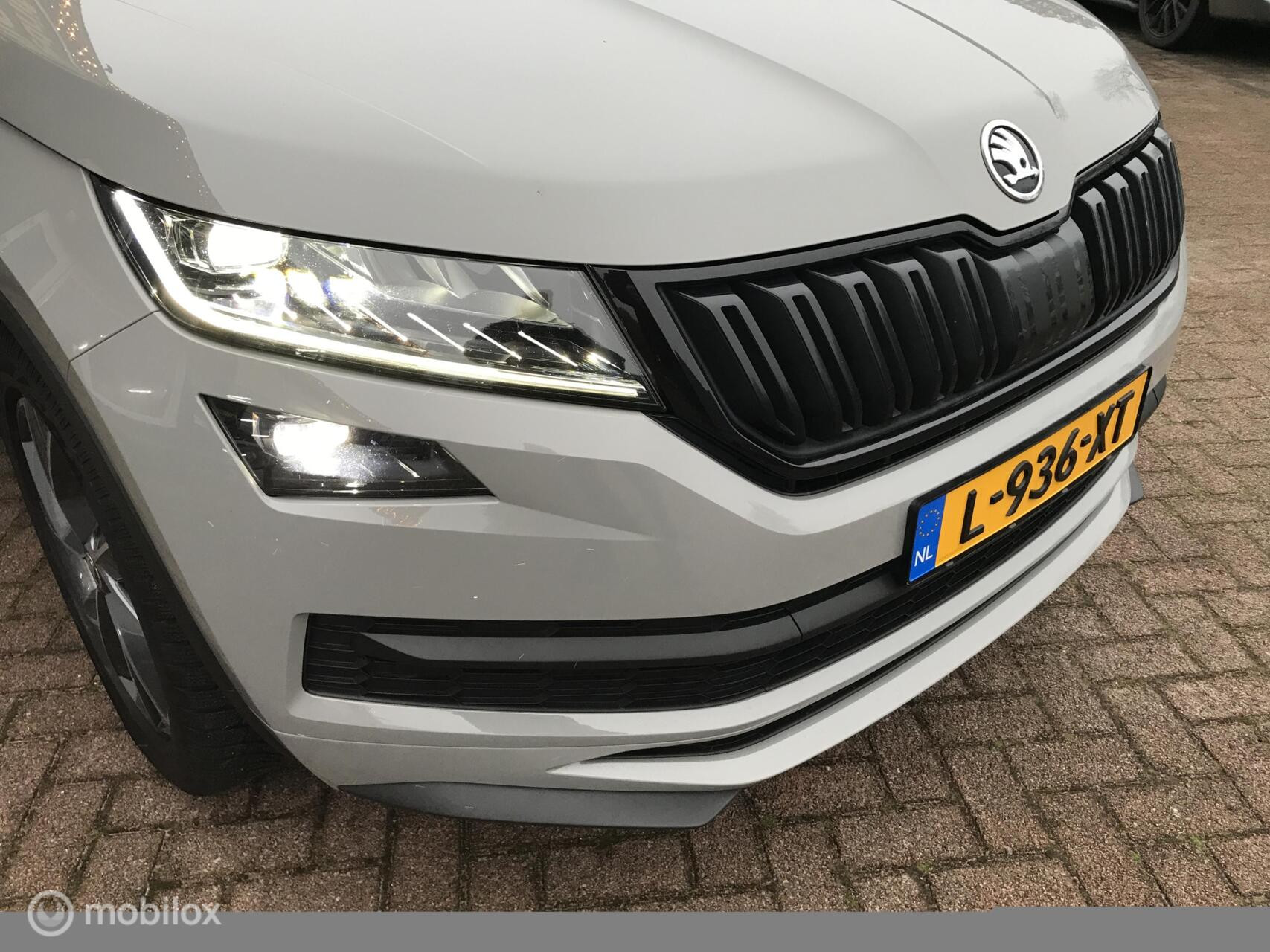 Hoofdafbeelding Škoda Kodiaq