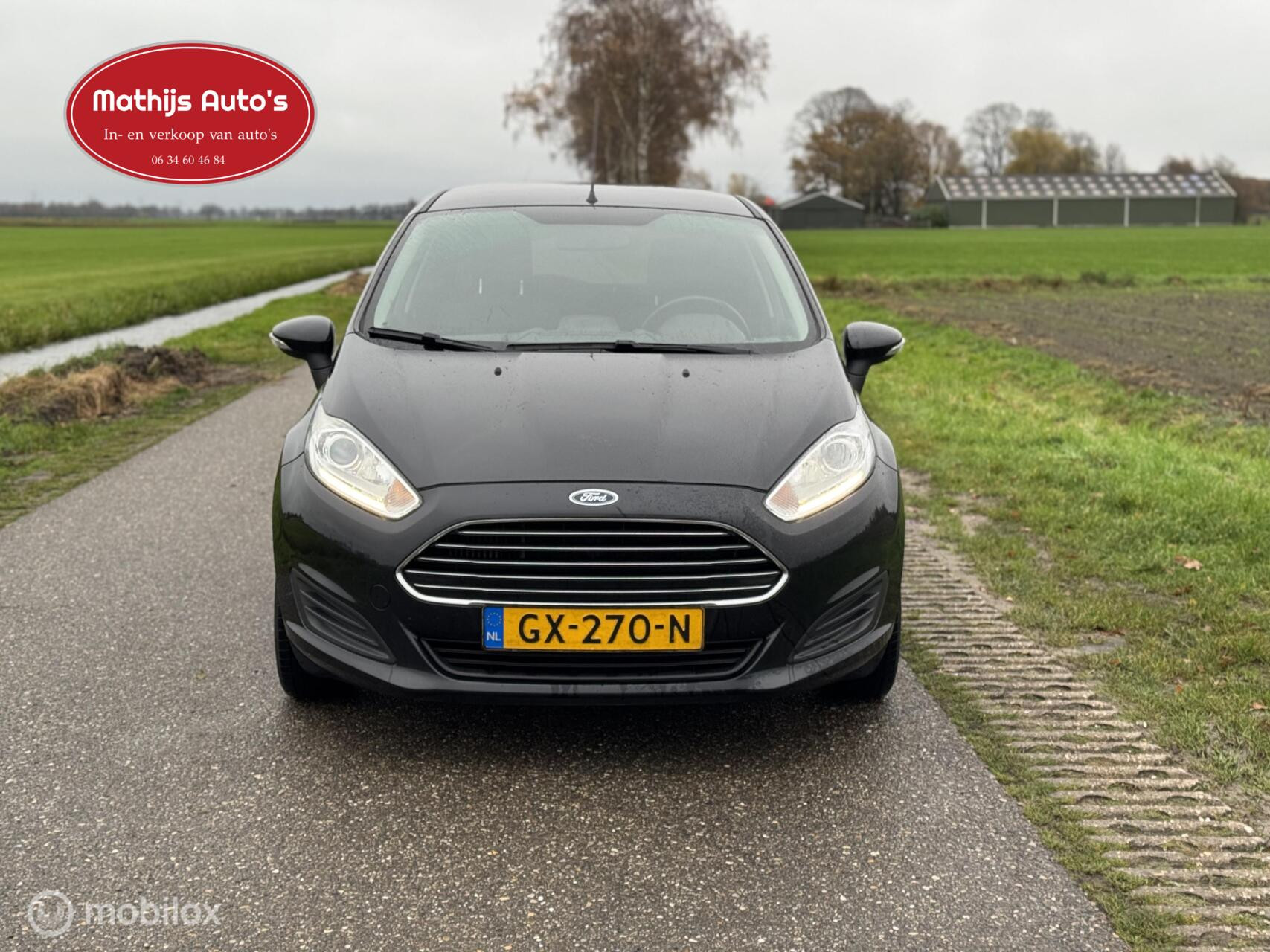 Hoofdafbeelding Ford Fiesta