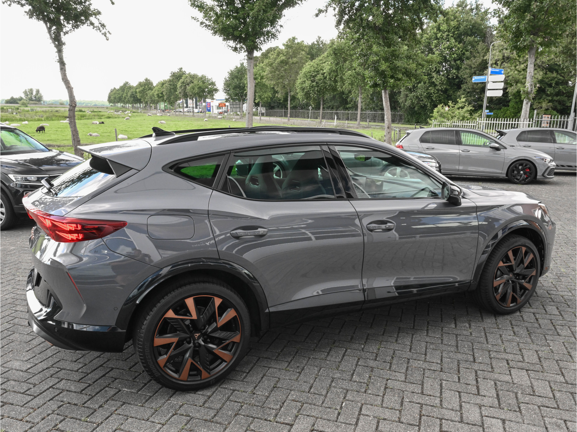 Hoofdafbeelding CUPRA Formentor