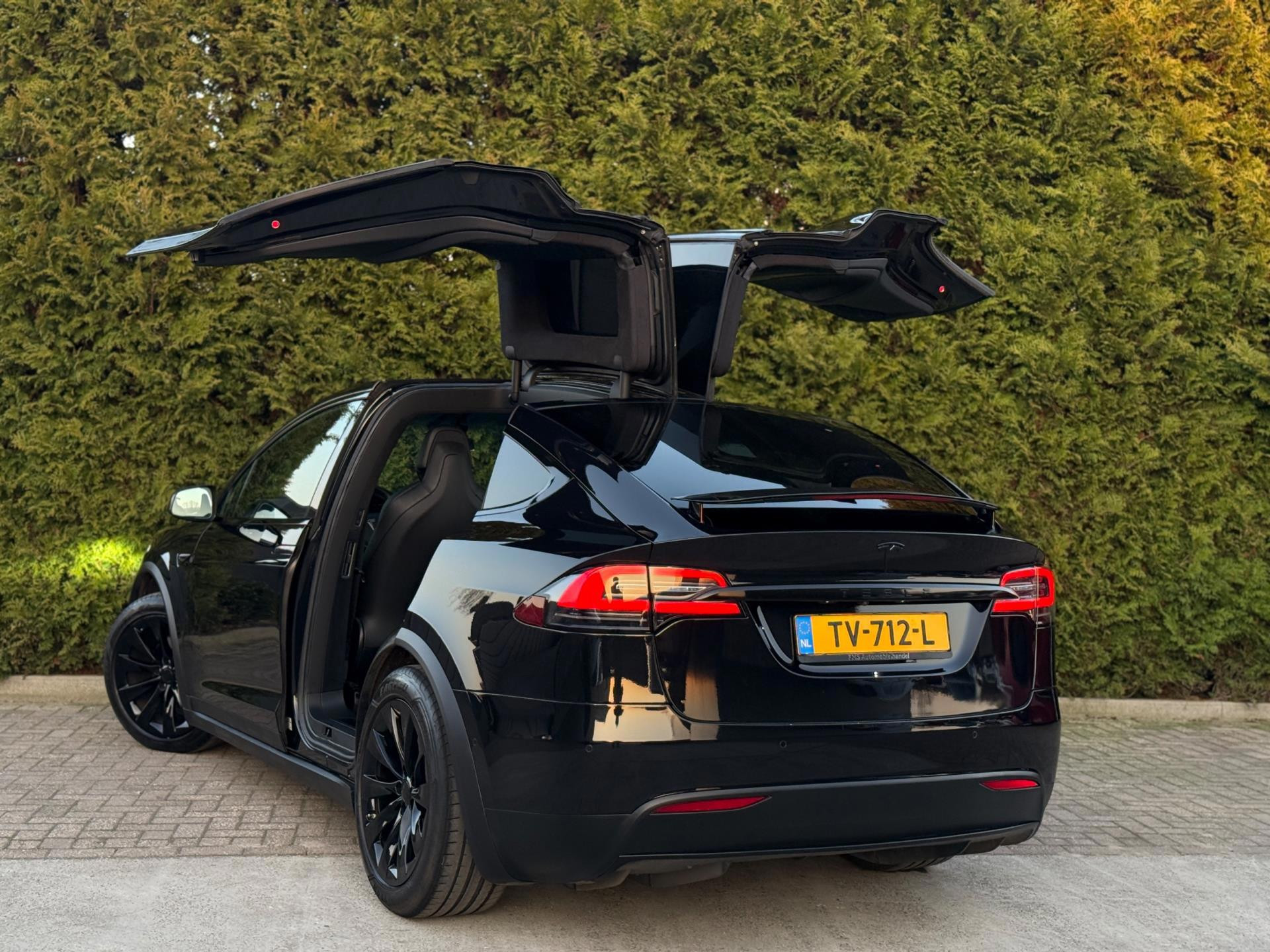 Hoofdafbeelding Tesla Model X