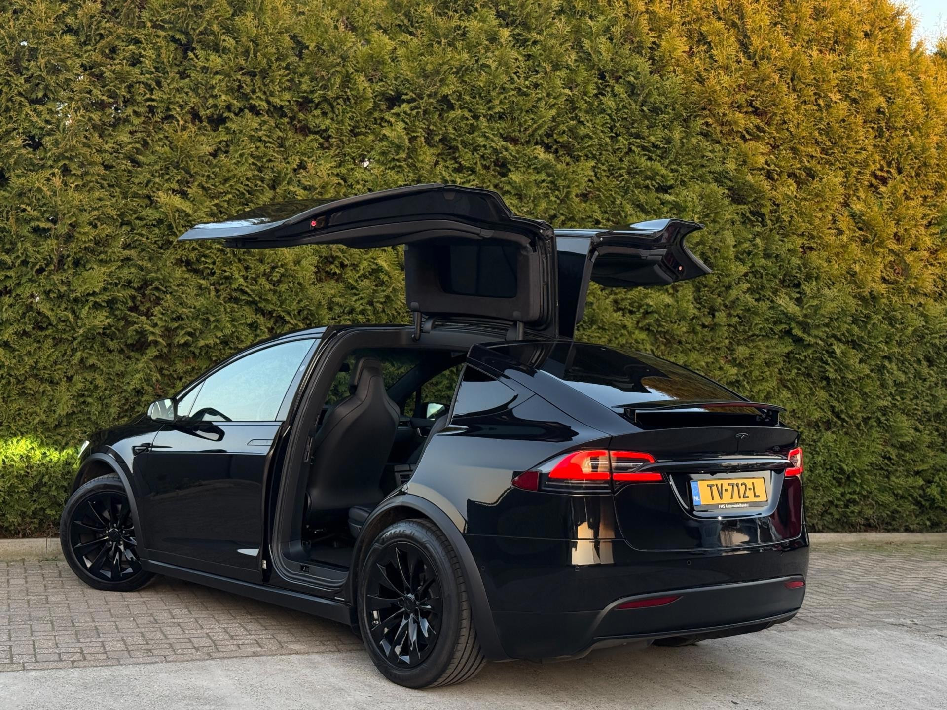 Hoofdafbeelding Tesla Model X