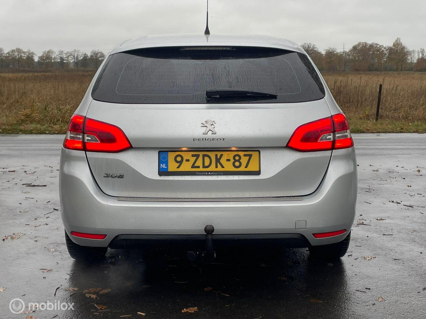 Hoofdafbeelding Peugeot 308
