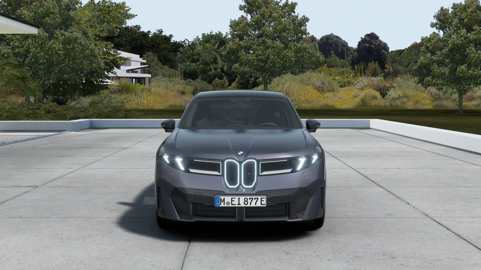 Hoofdafbeelding BMW iX3