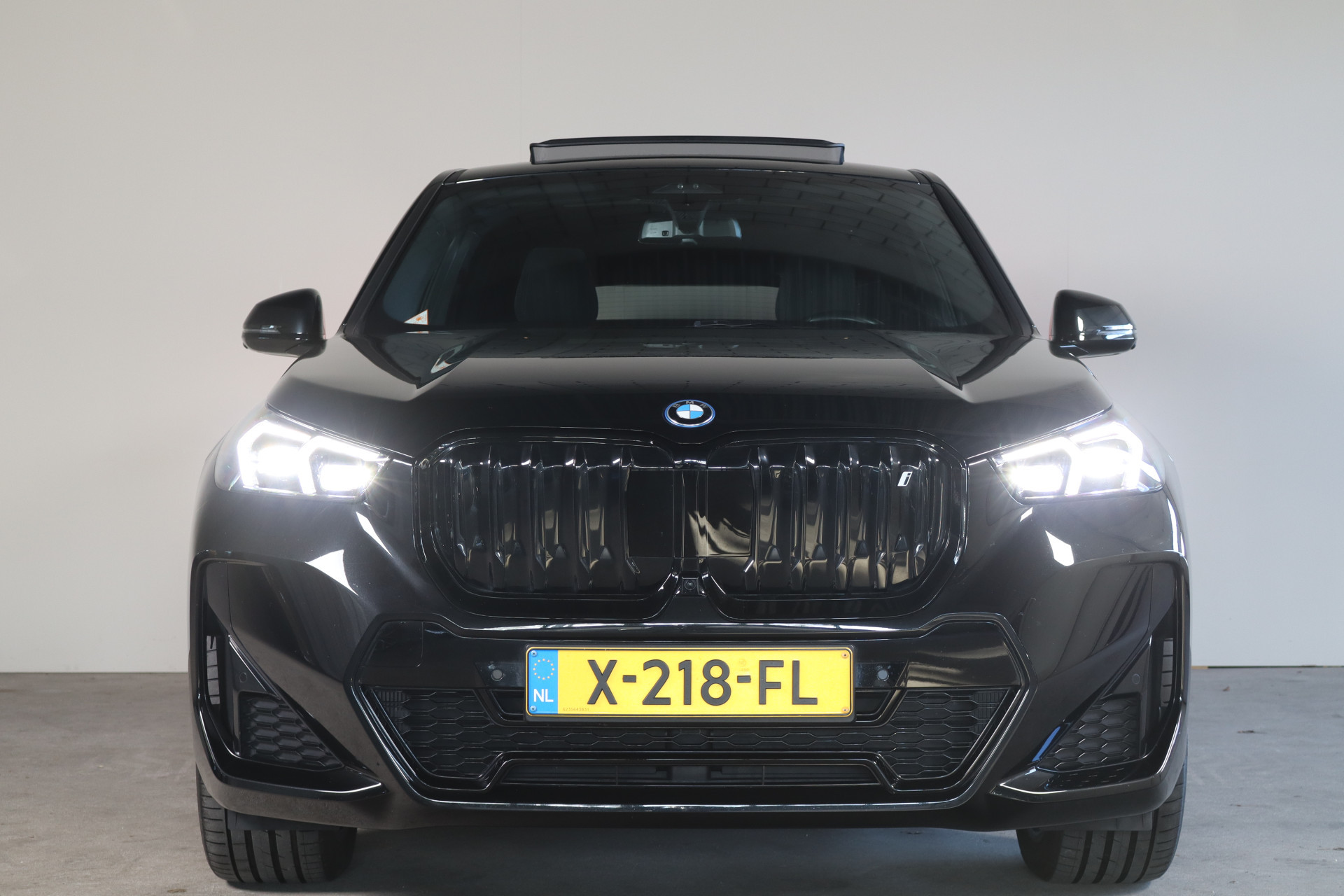 Hoofdafbeelding BMW iX1