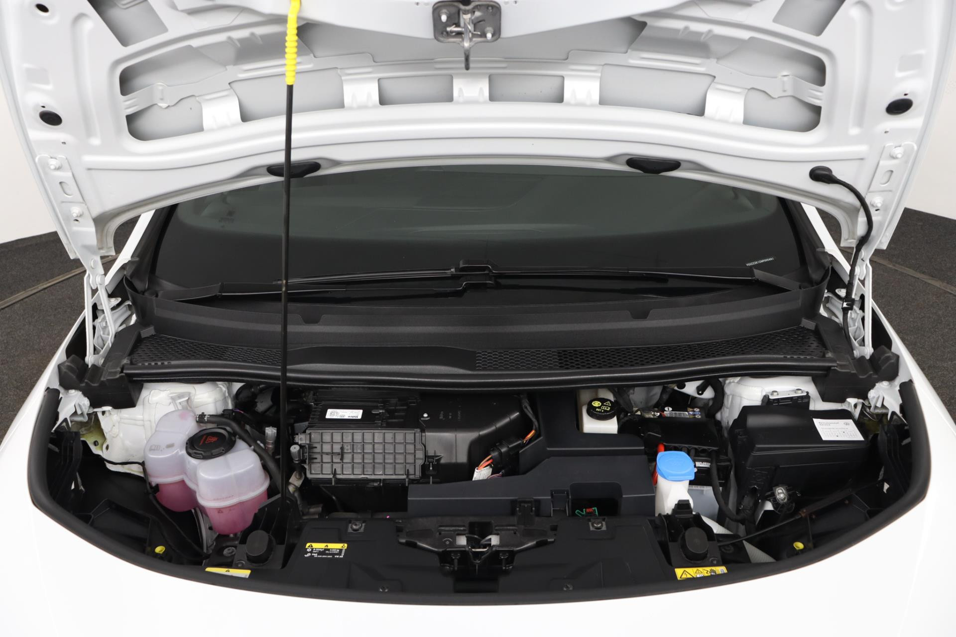 Hoofdafbeelding CUPRA Born